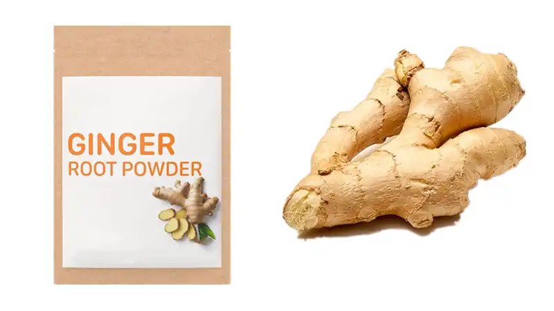 How Does Ginger Extract Powder Improve Antioxidant Support in the Body?